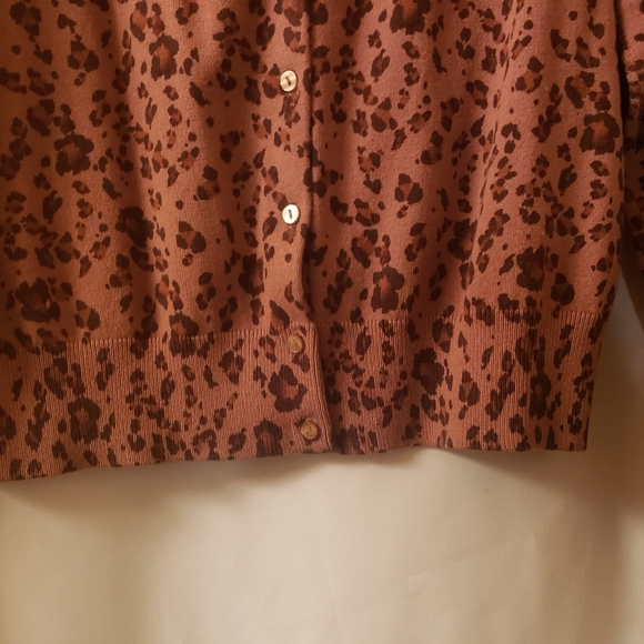 H&M Leopard Print Sweater Set - Picture 8 of 13